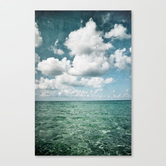 H2O Canvas Print