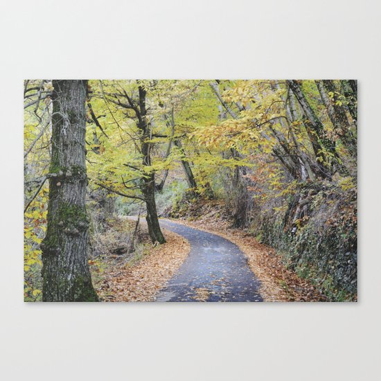 Into the autumn woods Canvas Print
