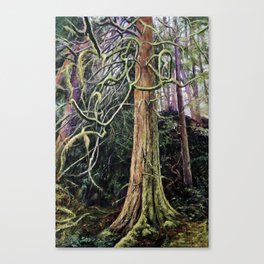Trees of Northwest Canvas Print