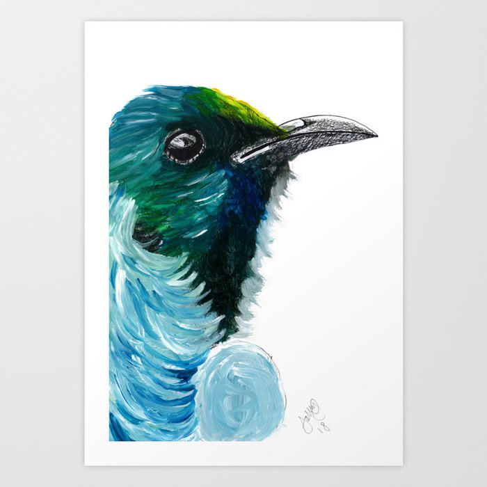 New Zealand Colorful Tui Bird Art Print By Sally Hart Society6 - Tui Bird Wall Art Nz New Zealand Colorful Tui Bird Art Print By Sally Hart Society6 - Tui Bird Wall Art Nz