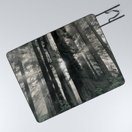 Ancient Redwoods Picnic Blanket