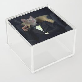 Damper Cat Acrylic Box