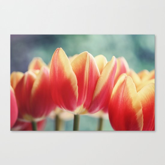 Opening Up Canvas Print