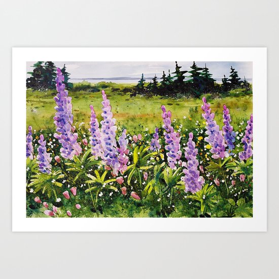 Lupines of Nova Scotia Art Print