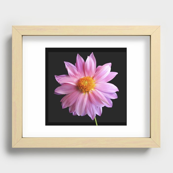 Pink flower Recessed Framed Print