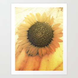 Sunflower Painting Art Prints For Any Decor Style Society6