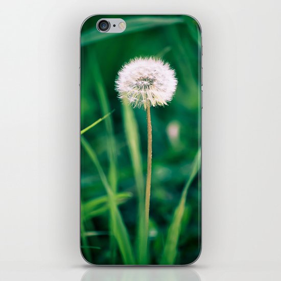 Fluffy Flower iPhone & iPod Skin
