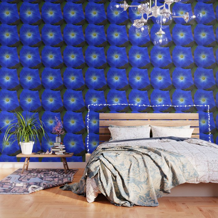 Blue Heavenly Blue Morning Glory Wallpaper By Rvjdesigns Society6