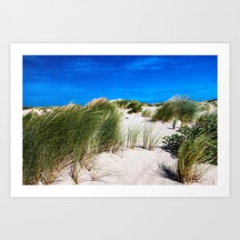 Hoek van Holland Grass Dunes Art Print