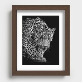 Jaguar - On the prowl Recessed Framed Print