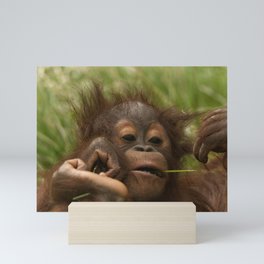 Orangutan Baby Mini Art Print | Cute, Orangutan, Love, Mom, Orangutang, Conservation, Notamonkey, Animal, Kisses, Monkey 