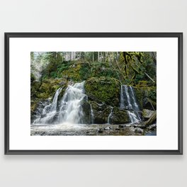 Pacific Northwest Waterfall Framed Art Print