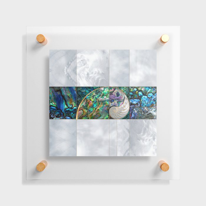Nautilus Shell - Abalone and Pearl Floating Acrylic Print