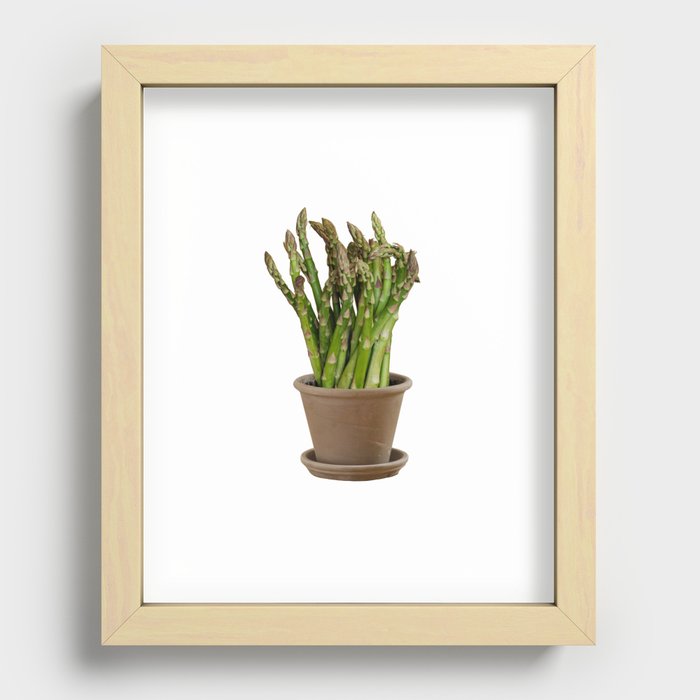 Asparagus flowers Recessed Framed Print