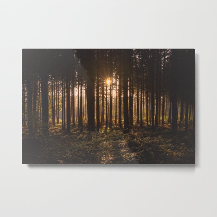Sun Shining Through Trees Metal Print By Banksee Society6