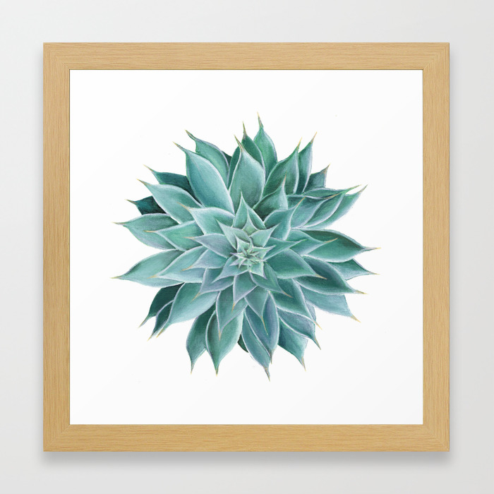 Succulent Acrylic Painting Framed Art Print By Anne Marieart