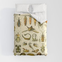 Adolphe Millot "Insectes" Nouveau Larousse 1905 Comforter
