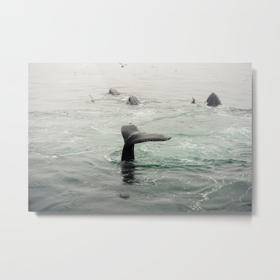 Whale Tail Metal Print
