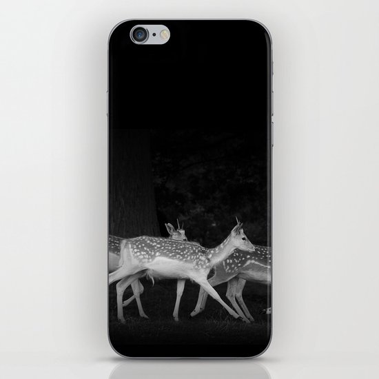 Last States Of Freedom iPhone & iPod Skin