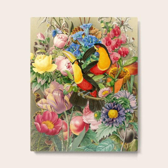 Toucans Metal Print