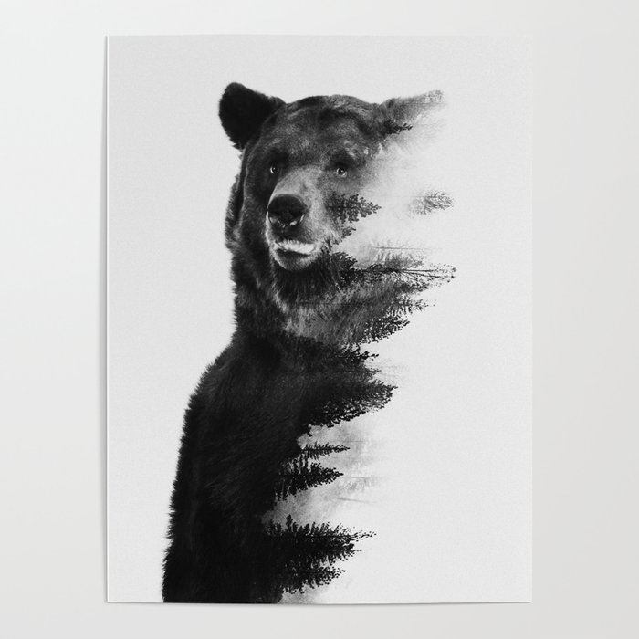 Observing Bear Poster