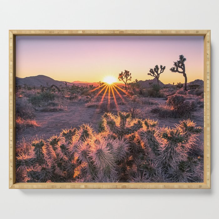Joshua Tree Cholla Cactus Sunset Serving Tray