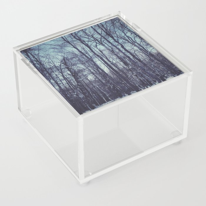 Waking up in the Forest  Acrylic Box