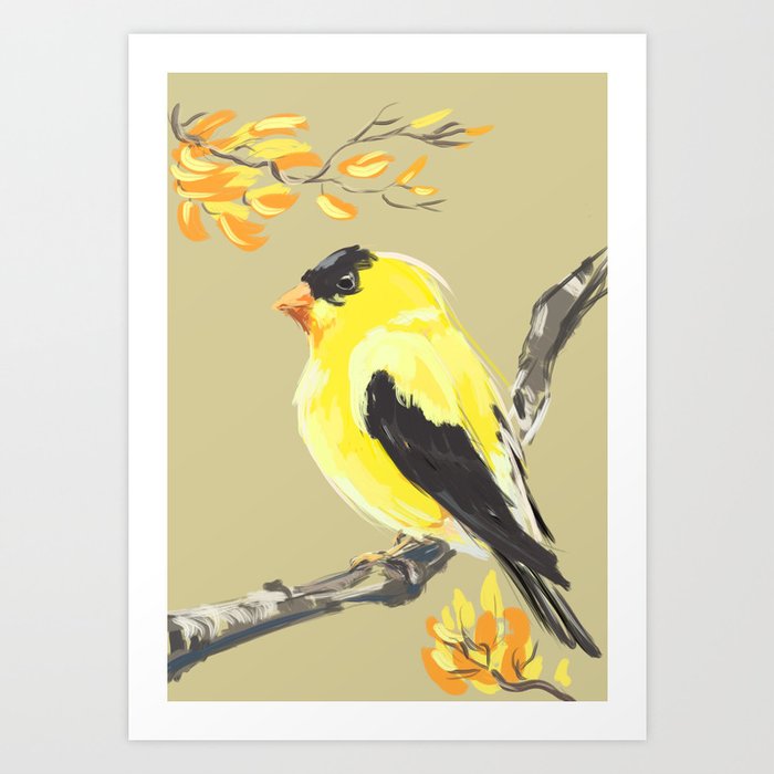 Yellow Finch Art Print