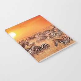 Wild zebras and antelopes in the African savannah towards sunset Notebook