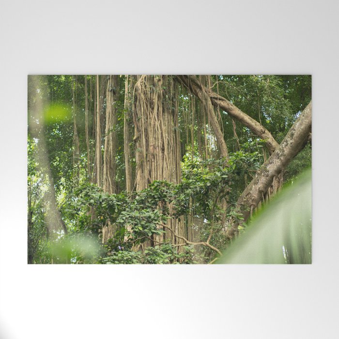 Brazil Photography - Tall Tropical Trees In The Rain Forest Welcome Mat