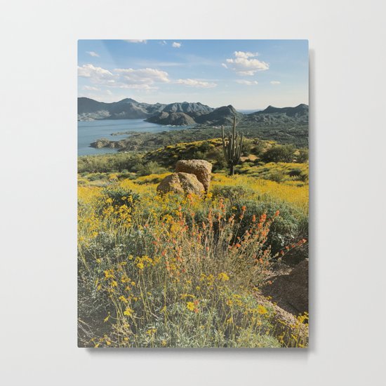 Arizona Spring Mountain Bloom Metal Print