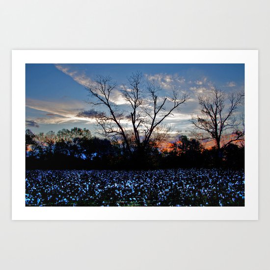 Another Early Morning in the Cotton Field Art Print