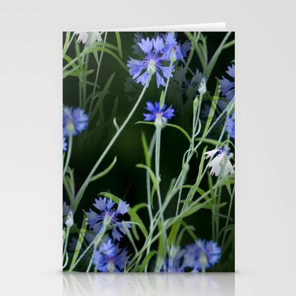 Beautiful Cornflowers on Black Background #decor #society6 #buyart Stationery Cards