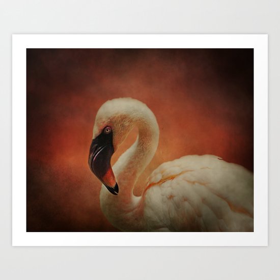 Flamingo Pink Art Print