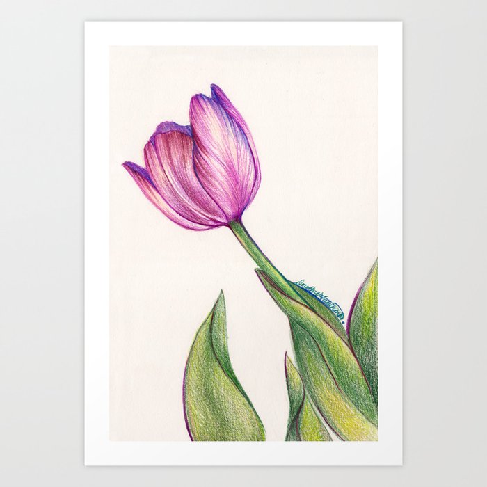 colored pencil art