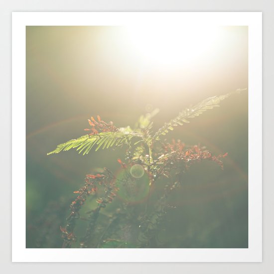 Fern Art Print