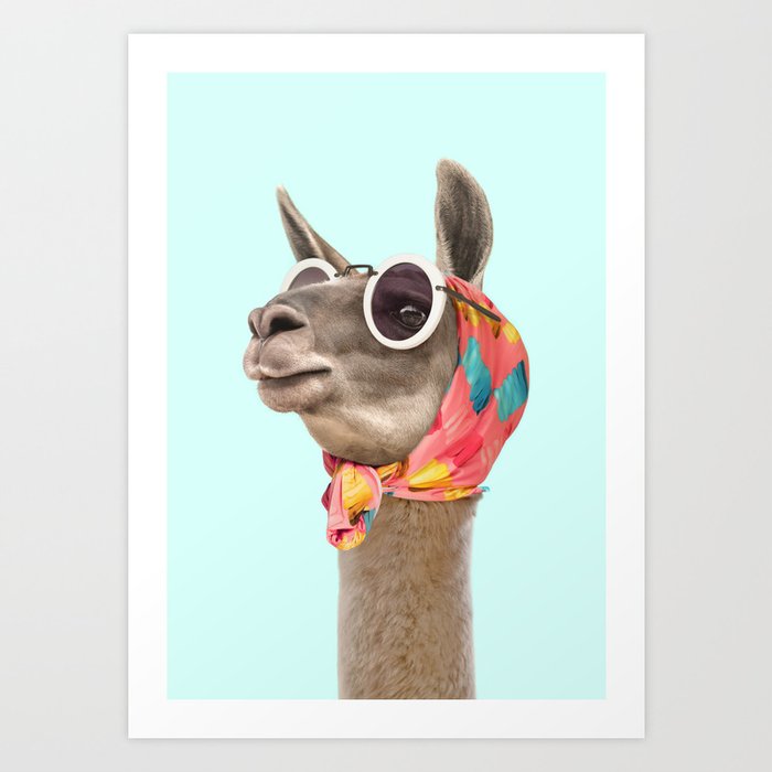 FASHION LAMA Kunstdrucke FASHION LAMA Kunstdrucke
