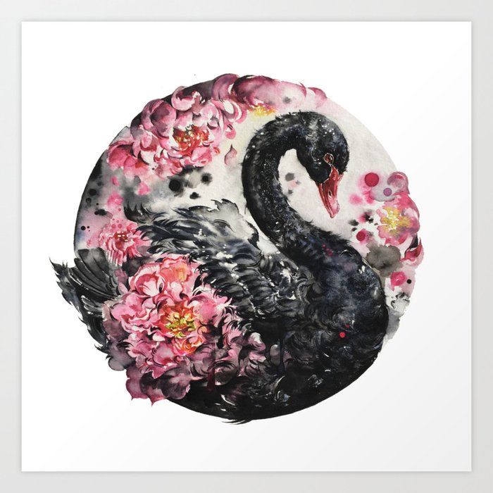 efter skole Titicacasøen En smule Black swan with flower watercolour painting Art Print by Amka | Society6