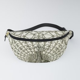 Maurice Pillard Verneuil - Paon, grille fer forgé Fanny Pack