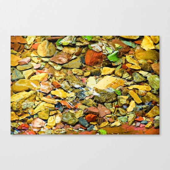 A Colorful Creek, Glacier National Park Canvas Print