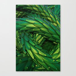 Green Metallic Dragon Skin. Canvas Print