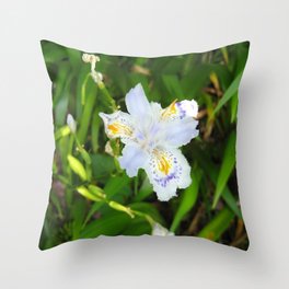 Iris Japonica Throw Pillow
