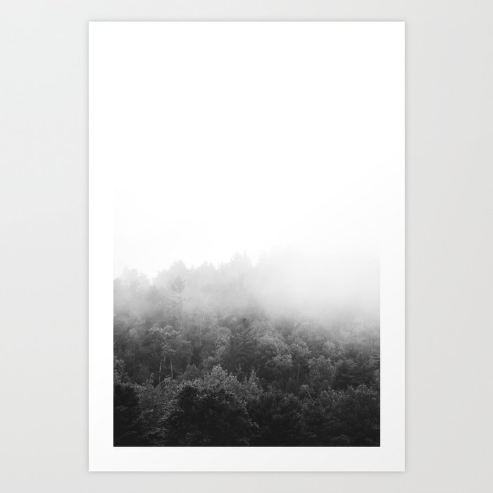 Algonquin Park | Landscape Photography | B&W Art Print