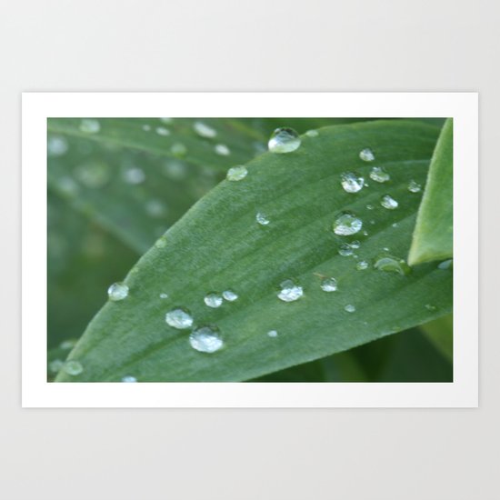 spring drops Art Print