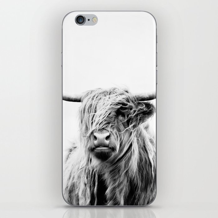 portrait of a highland cow iPhone Skin