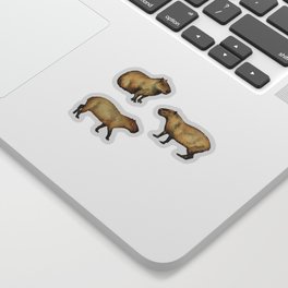 Cute Capybara Pattern - Giant Rodents on Dark Teal Sticker