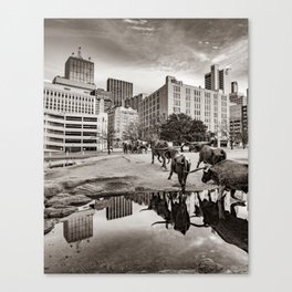 Texas Longhorns Cattle Drive And Dallas City Reflections In Sepia Canvas Print