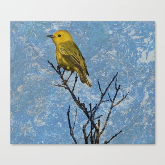 Watchful eye Canvas Print
