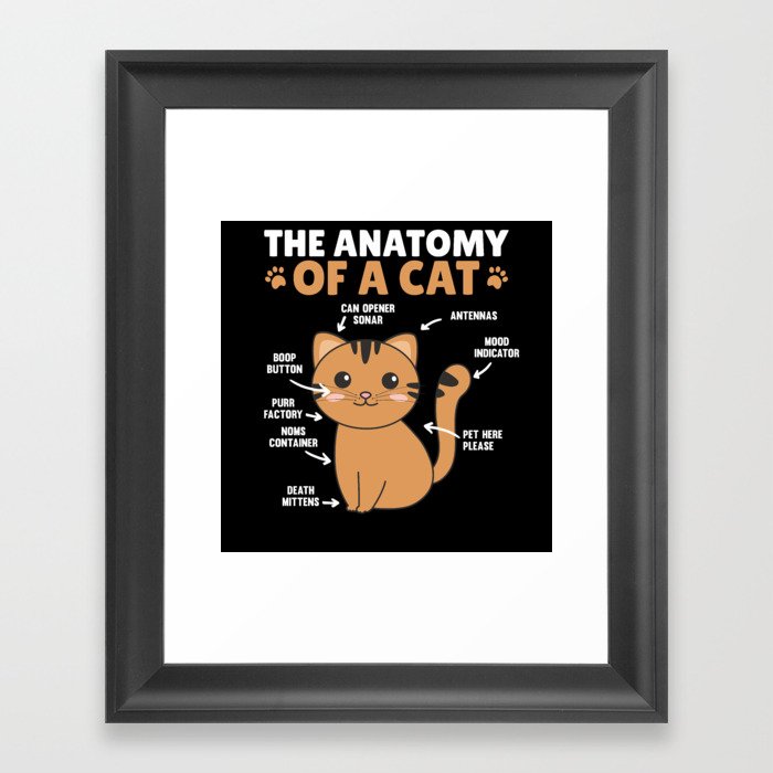 The Anatomy Of A Cat Funny Explanation Of A Cat Framed Art Print