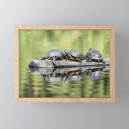Turtles On A Log Framed Mini Art Print